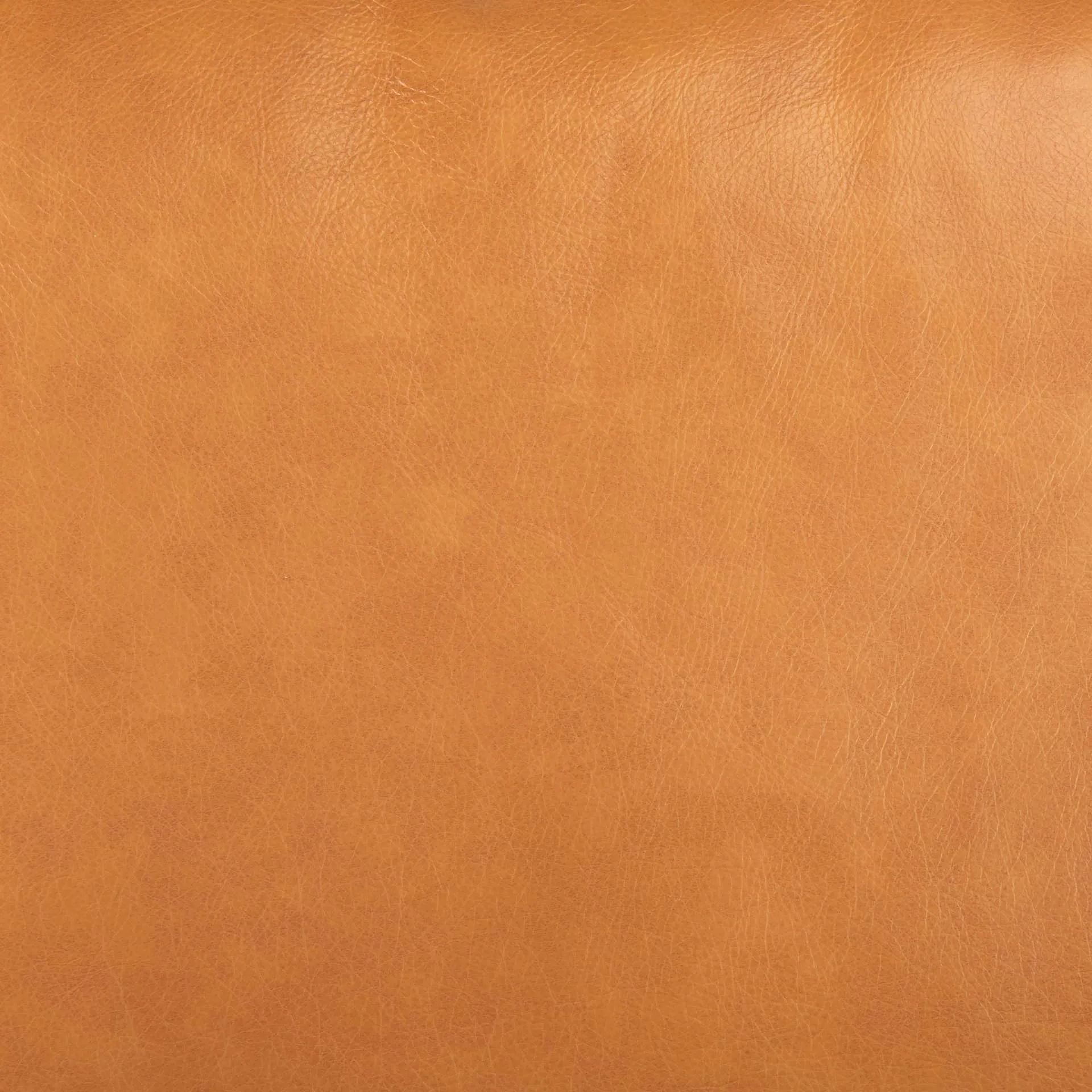 Arne Sofa Sectional in Tan Leather | Left Chaise
